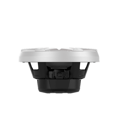 M2 10" DVC 4Ω Color Optix™ Infinite Baffle Marine Subwoofer